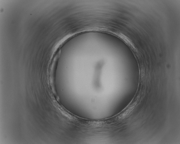 X0000067950854200605041824