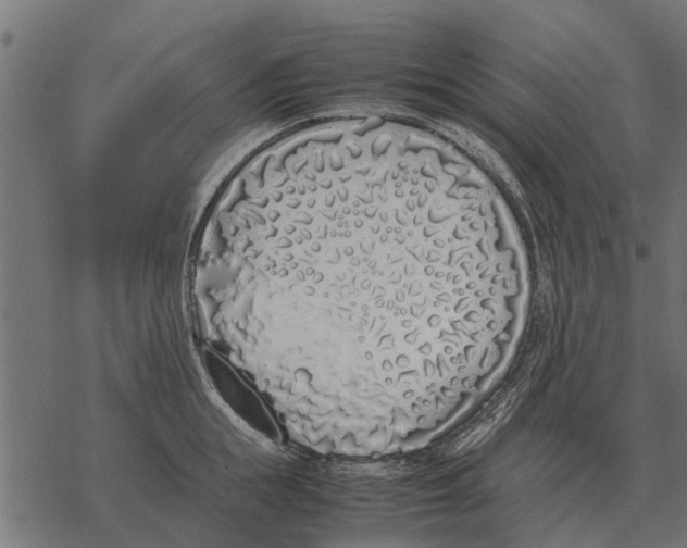 X0000067950855200605041824