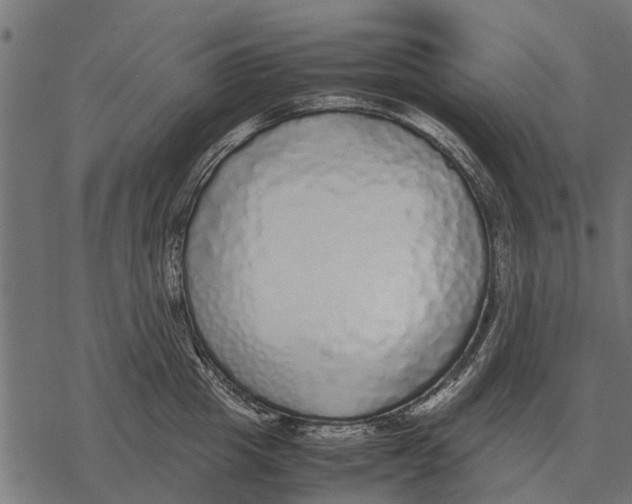 X0000067950857200605041824