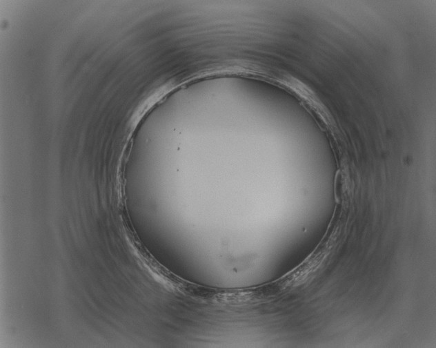 X0000067950858200605041824