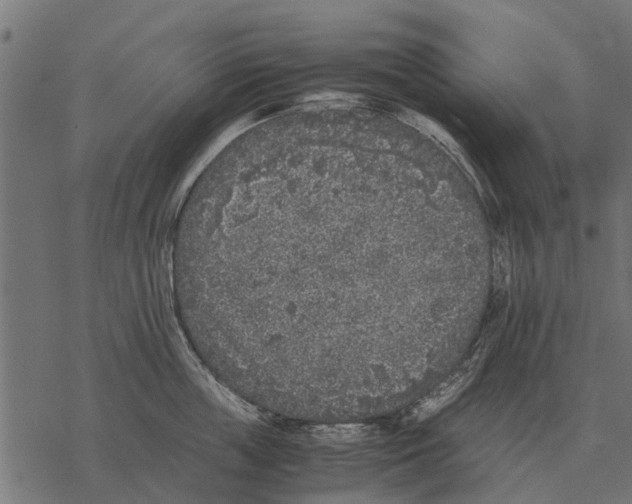 X0000067950859200605041824