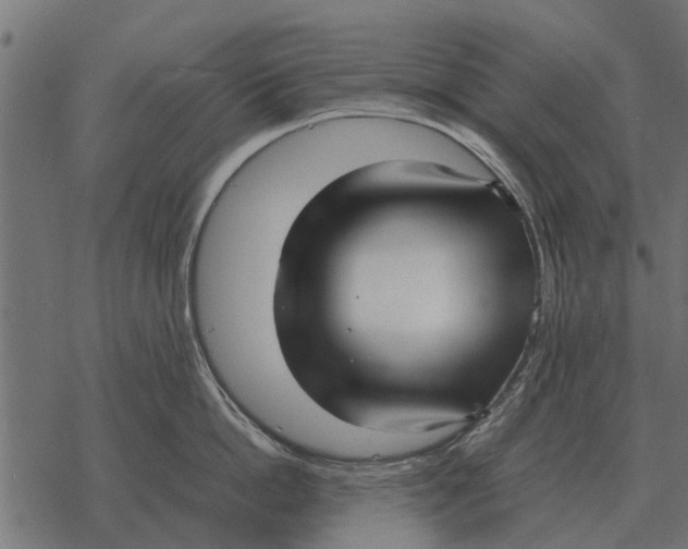 X0000067950862200605041824