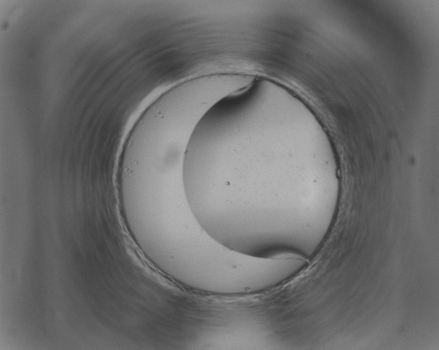 X0000067950864200605041824