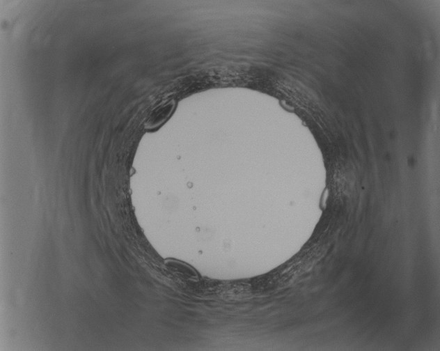 X0000067950865200605041823