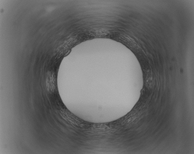 X0000067950866200605041823