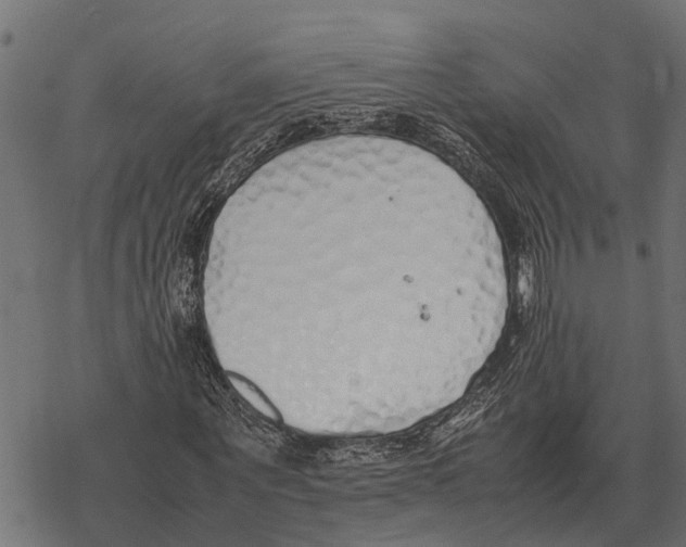 X0000067950867200605041823