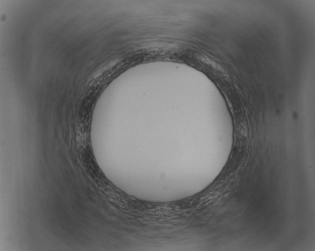 X0000067950869200605041823