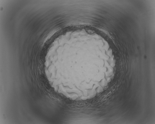 X0000067950871200605041823