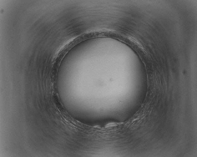 X0000067950872200605041823