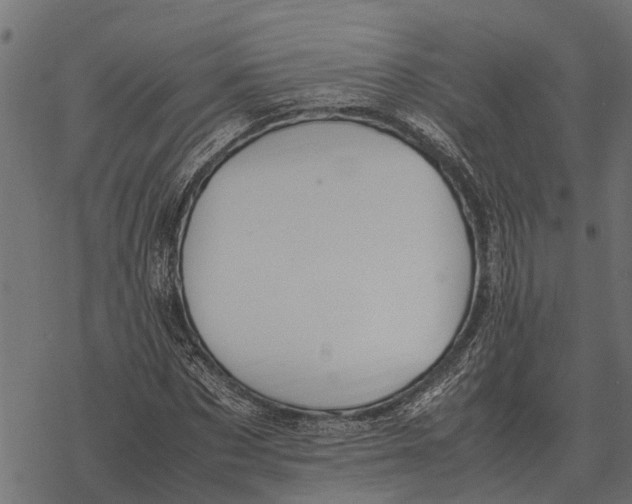 X0000067950873200605041823