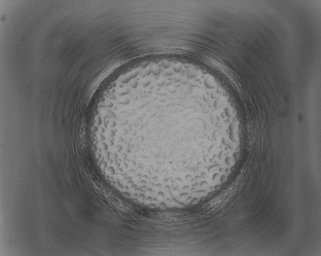 X0000067950875200605041823