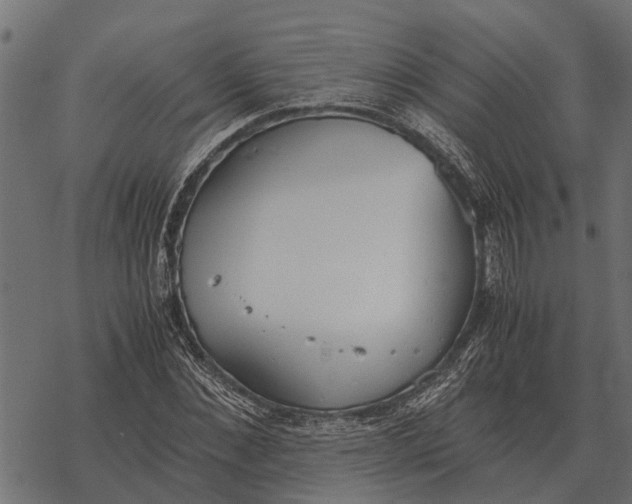 X0000067950876200605041823