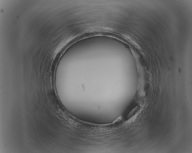 X0000067950877200605041823