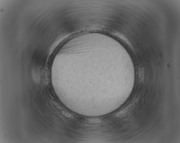 X0000067950878200605041823