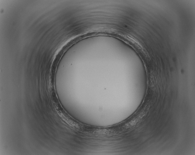 X0000067950880200605041823