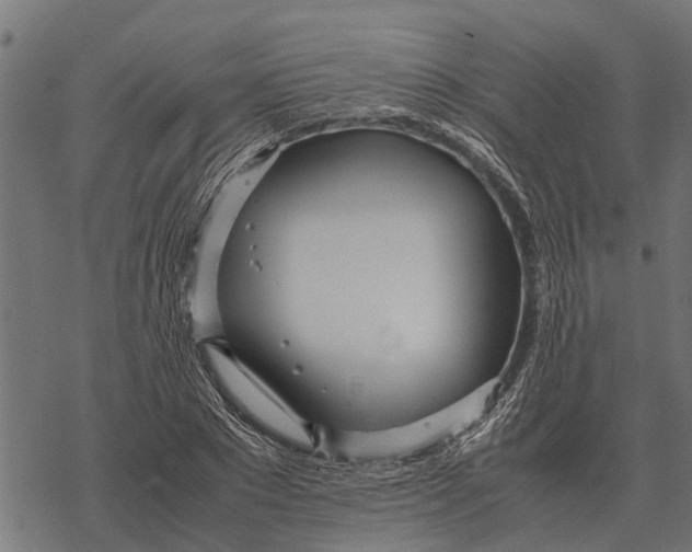 X0000067950881200605041823