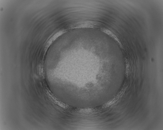 X0000067950882200605041823