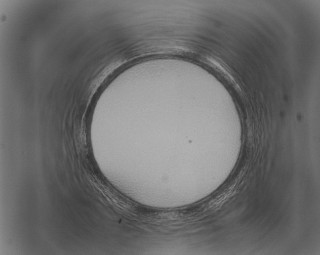 X0000067950883200605041823