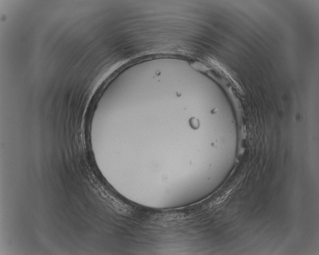 X0000067950884200605041823