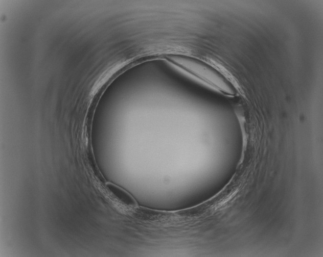 X0000067950885200605041823