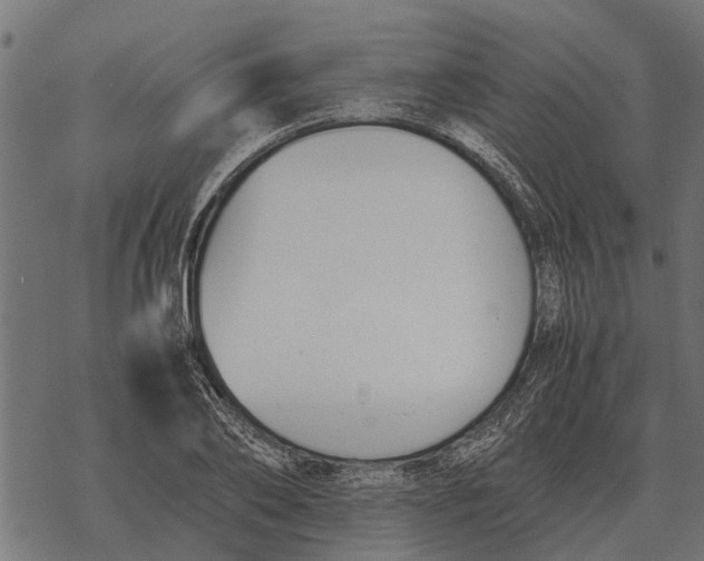 X0000067950886200605041823