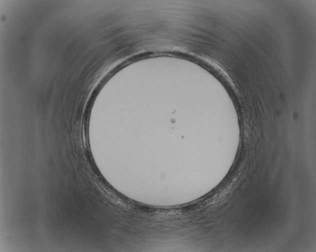 X0000067950887200605041823