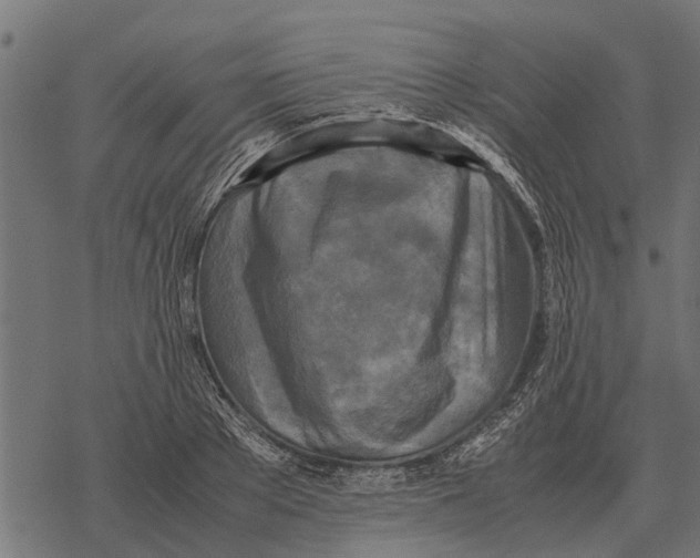 X0000067950889200605041823