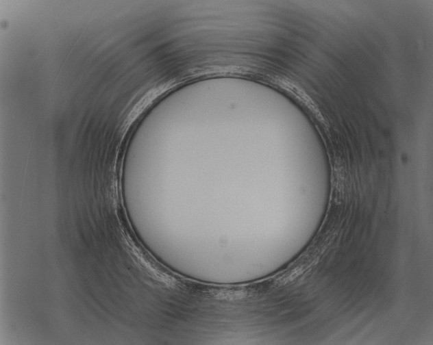 X0000067950890200605041823