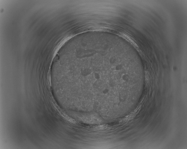 X0000067950891200605041823