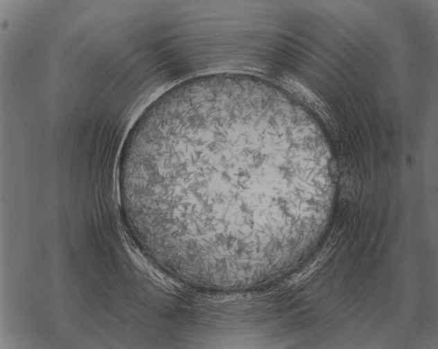 X0000067950892200605041823