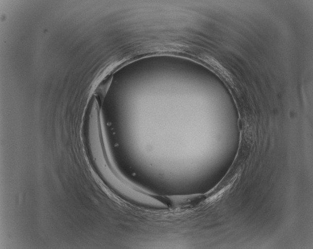 X0000067950893200605041823