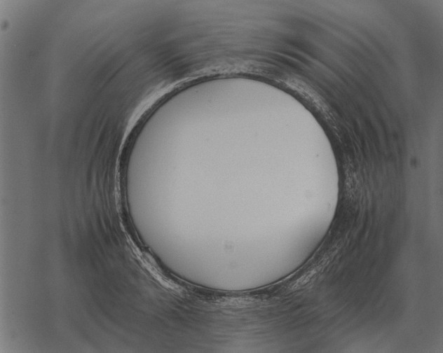 X0000067950894200605041823