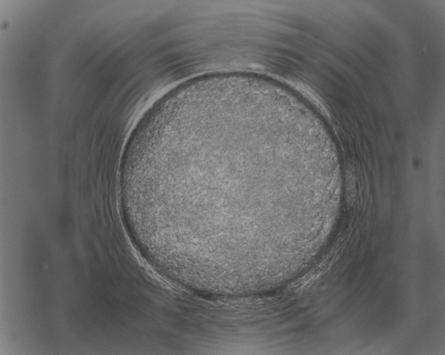 X0000067950895200605041823