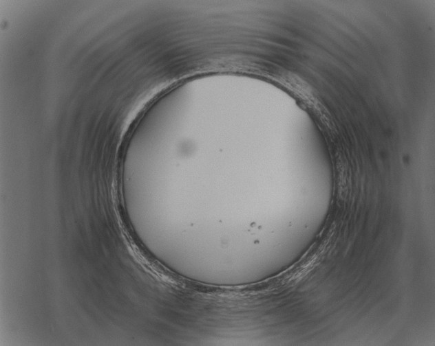 X0000067950896200605041823