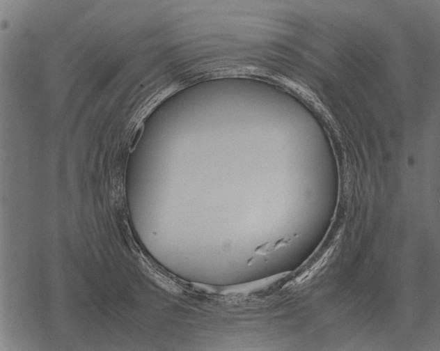 X0000067950897200605041823