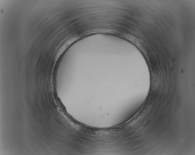 X0000067950898200605041823