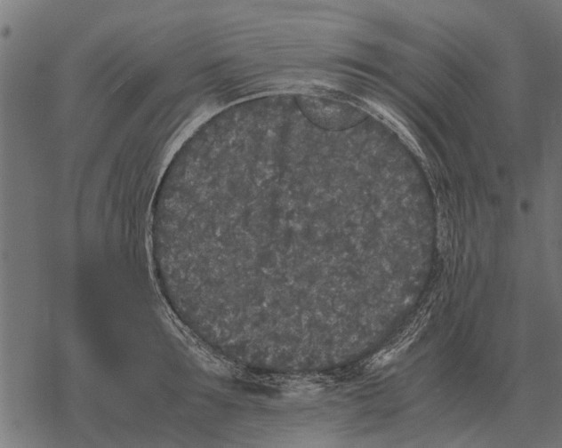 X0000067950899200605041823