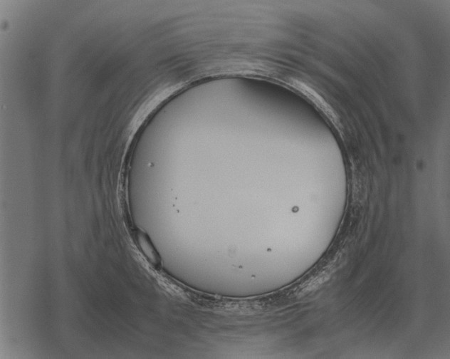 X0000067950901200605041823