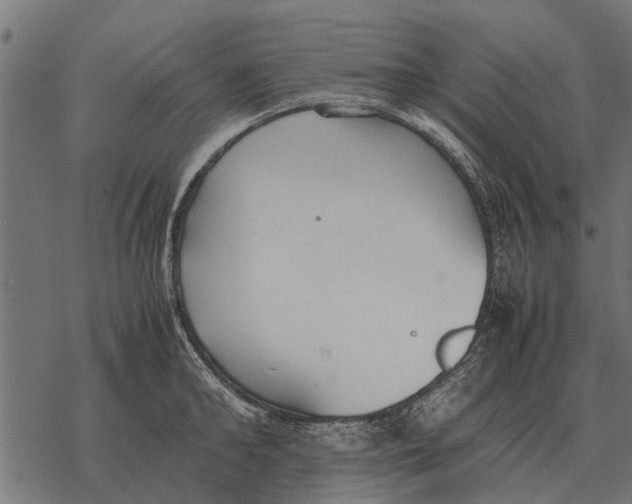 X0000067950902200605041823