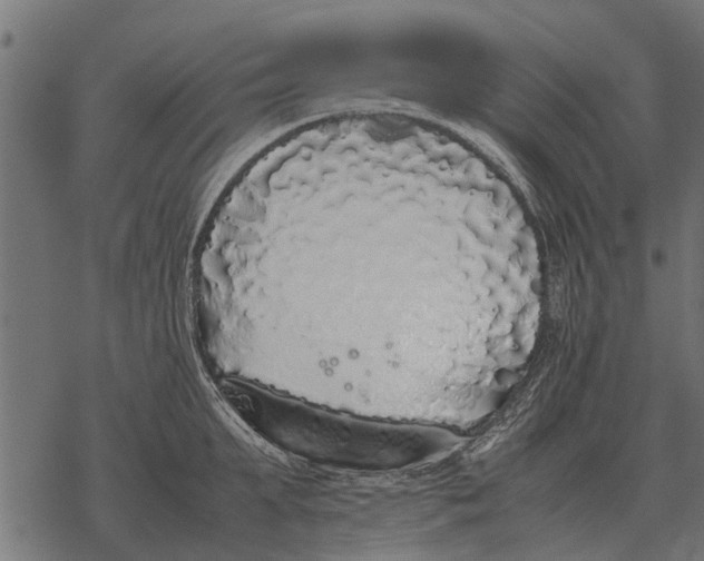 X0000067950903200605041823