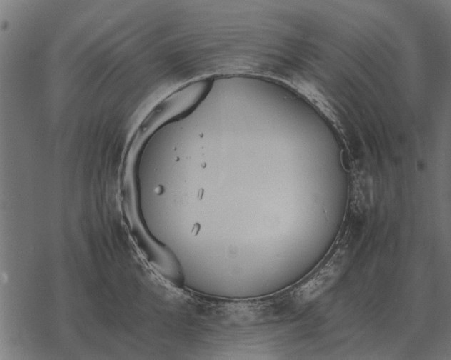 X0000067950904200605041823