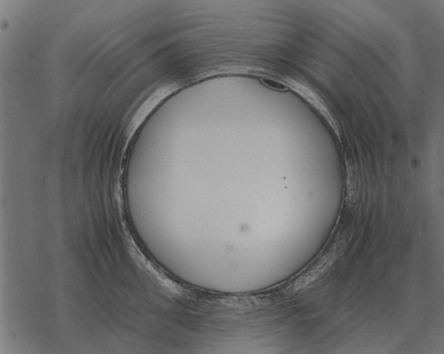 X0000067950906200605041822