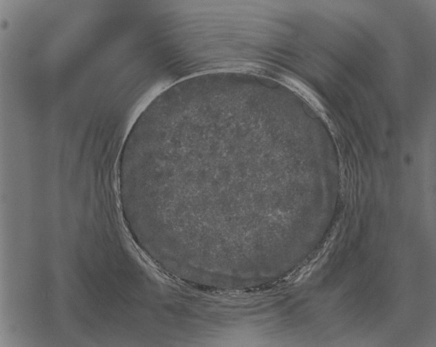 X0000067950907200605041822