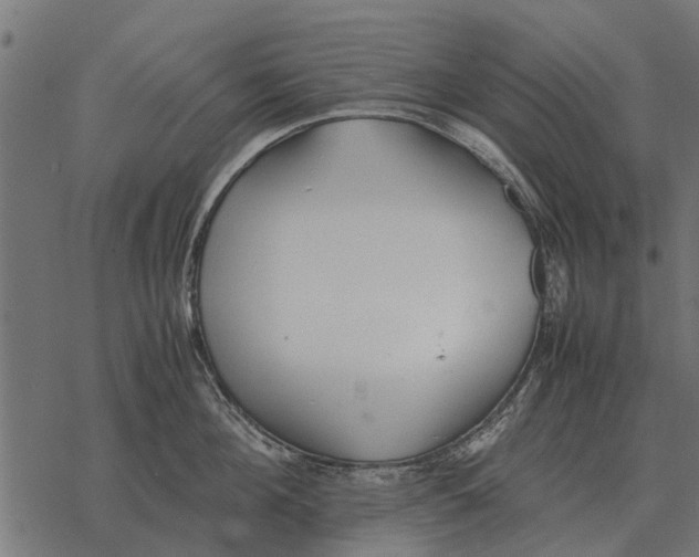 X0000067950908200605041822