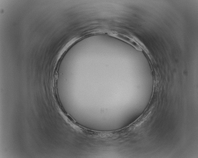 X0000067950909200605041822