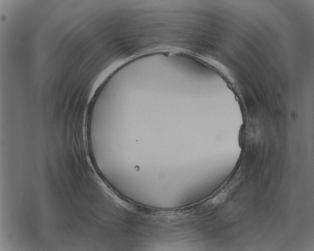 X0000067950910200605041822