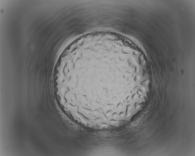 X0000067950911200605041822