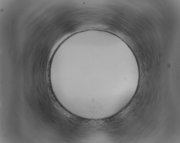 X0000067950912200605041822