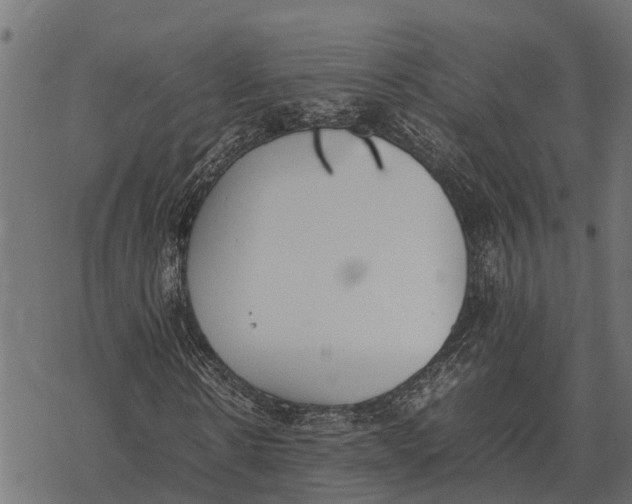 X0000067950914200605041822