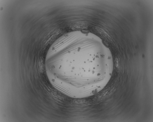 X0000067950915200605041822